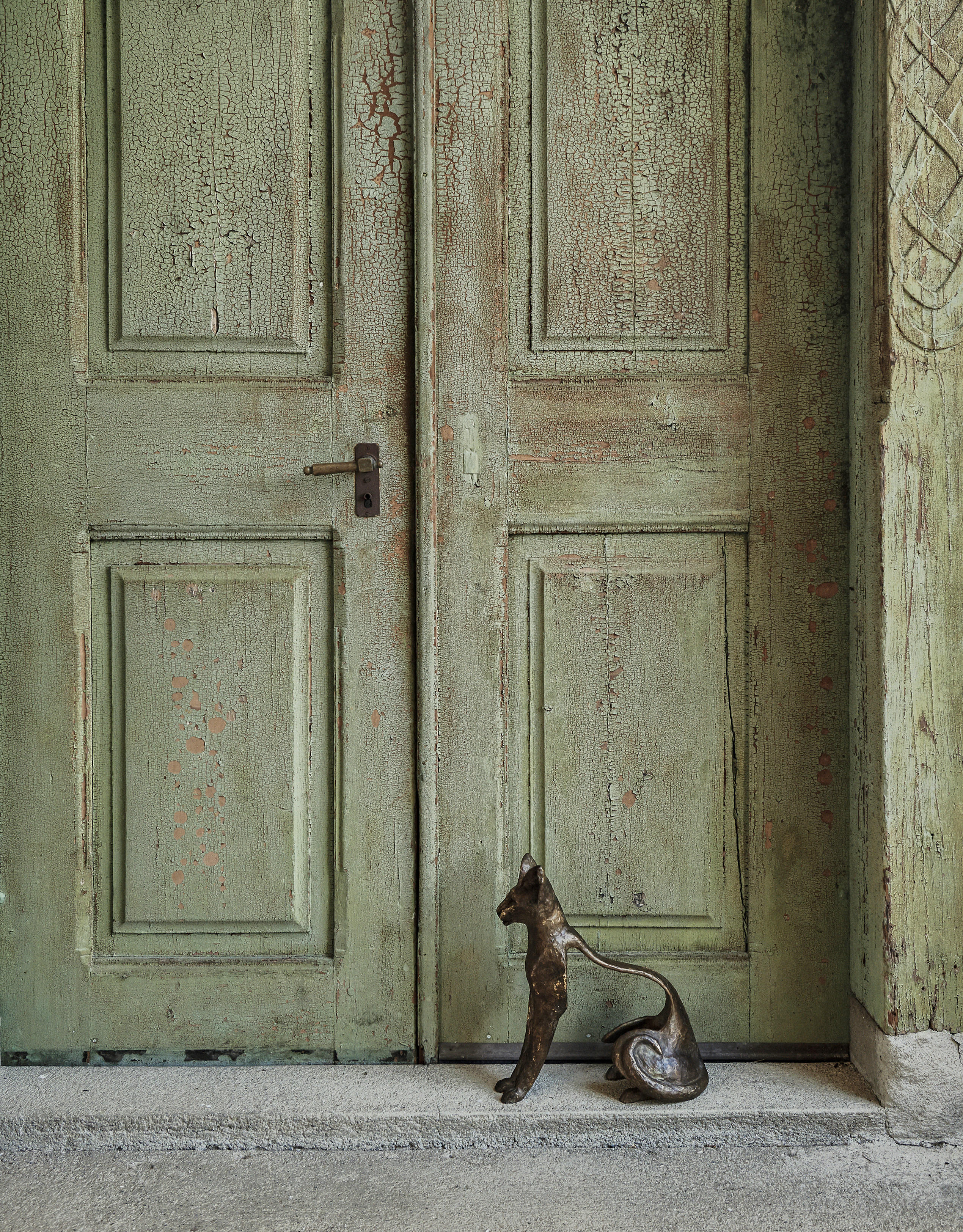 Leptailurus Serval II